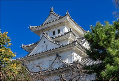 エリア