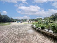 住之江公園まで870m 徒歩11分。野球場や球技広場、テニスコートが利用可能な都市公園。「花と緑のスクエア」や大池があり、四季折々の自然を感じられます。児童広場や児童遊戯場もあり、子育てファミリーにも嬉しいスポットです。