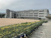 西宮市立香櫨園小学校まで690m 徒歩9分。1957年に設立された公立小学校。学校経営目標：『「ＹＯＵ」と「Ｉ」（友愛）の豊かな人間関係を育む学校づくり』。学校HPに、登校の様子や授業風景が写真付きで掲載されています。