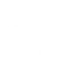 限定コンテンツ