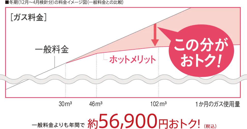一般料金よりも年間で約56,900円（税込）おトク!