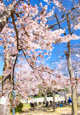 比治山公園
