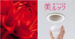 美ルック