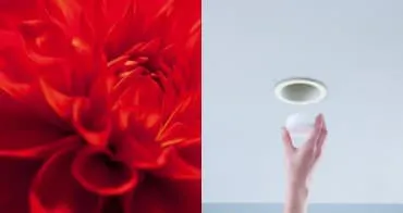 美ルック