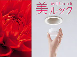 美ルック