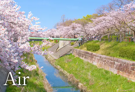 山崎川周辺